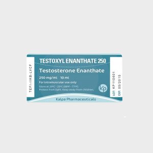 Testoxyl Enanthate 250- 10ml/Vial