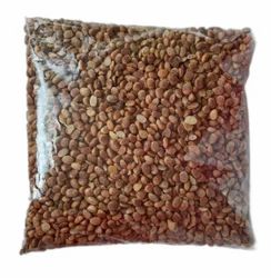 100% Brown Soursop Seed, For Fruits, 250 G ‎