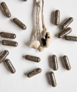 Buy Psilocybin Microdosing Pills