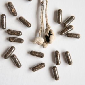 Buy Psilocybin Microdosing Pills