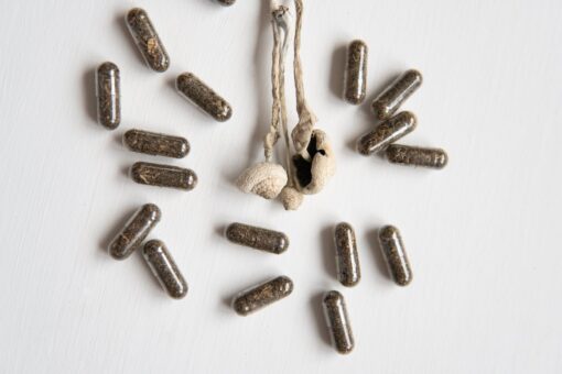 Buy Psilocybin Microdosing Pills